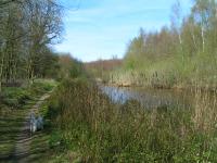 Klik op de foto voor groter formaat